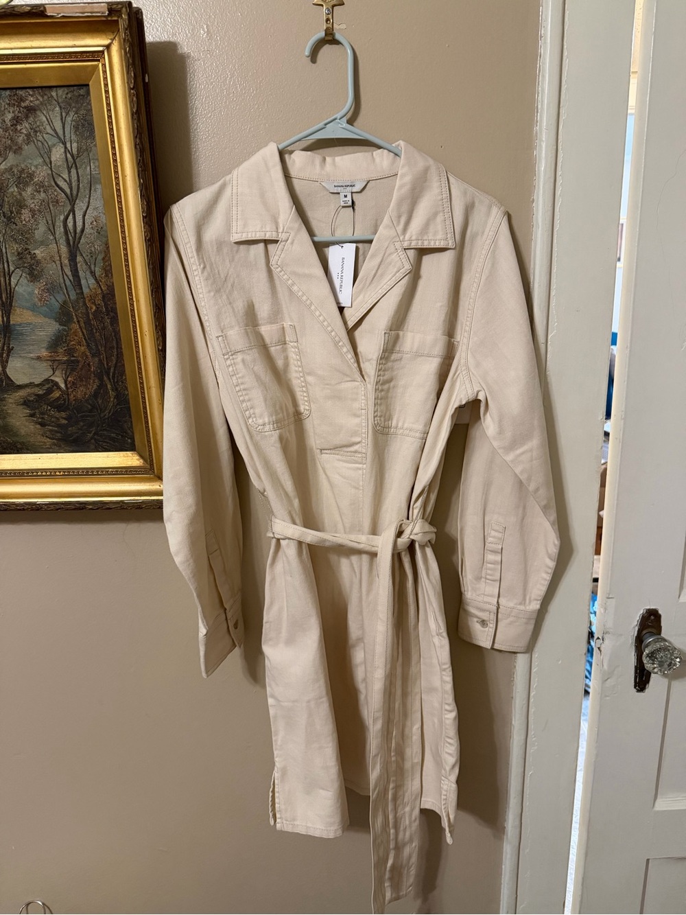 Banana Republic Dress